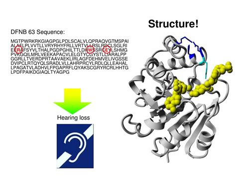 Ppt Applications Of Homology Modeling Powerpoint Presentation Free