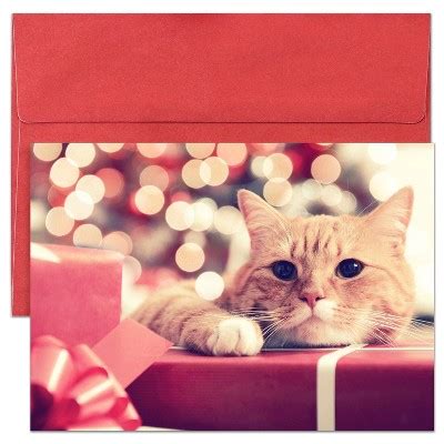 Masterpiece Studios 16 Count Boxed Cat Christmas Holiday Cards With