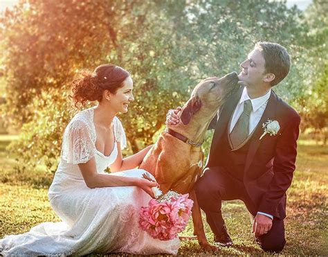 Cómo Incluir A Tus Mascotas En La Boda