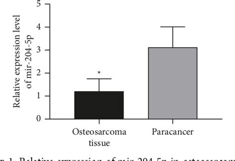 Figure From Mir P Acts As A Tumor Suppressor By Targeting Dnm