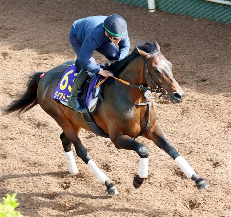 【岩田康誠の熱血！！競馬道】ダイアトニックのひと脚 最大限に生かす！ 東京の日曜メイン・安田記念 Umatoku 馬トク