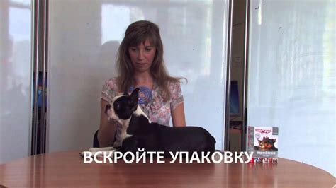 Ошейник Mr.Bruno для собак от клещей и блох - YouTube