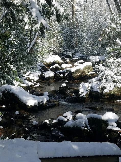 Things To Do In Asheville Nc In Winter Greybeard Rentals