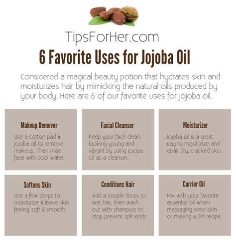 6 Favorite Uses For Jojoba Oil