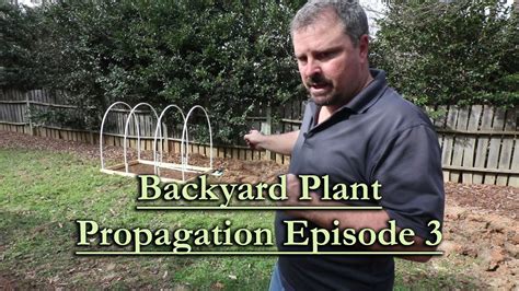 Backyard Plant Propagation Episode 3 How To Root Woody Shrub Series