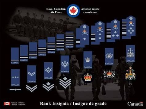 √ Canadian Armed Forces Rank Insignia - Spartan Tree