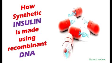 How Synthetic Insulin Is Made Using Recombinant Dna Technology From