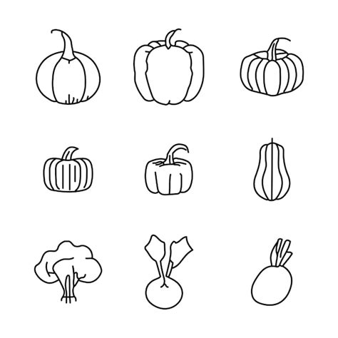 Premium Vector Vegetables Line Icon Set Vector Illustration