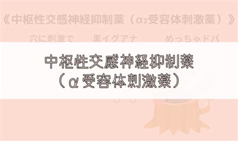 【ゴロ】中枢性交感神経抑制薬（α₂受容体刺激薬） ゴロナビ〜薬剤師国家試験に勝つ〜