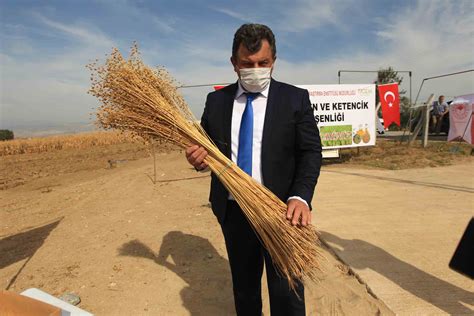 Yilmaz Keten Tohumu Toprakla Bulu Tu