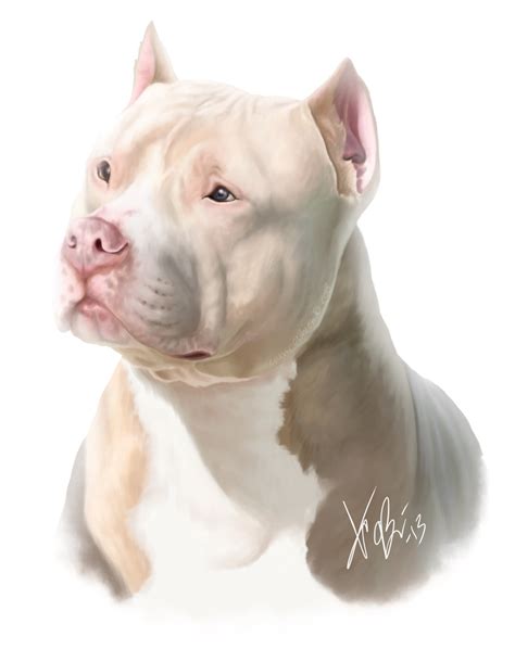 White Red Pitbull Portrait By Redeyeddemon On Deviantart