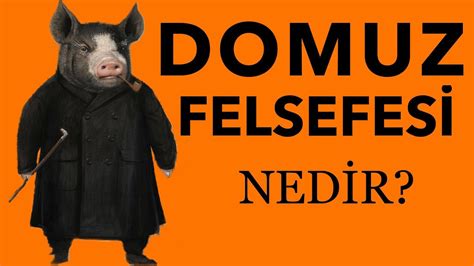 DOMUZ FELSEFESİ NEDİR FELSEFE TERİMLERİ YouTube