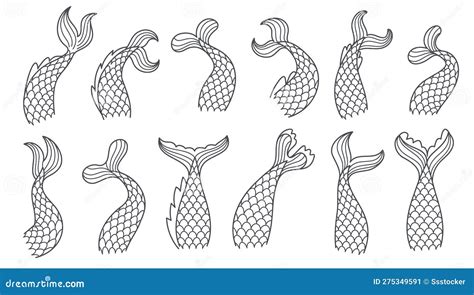 Handdrawn Mermaid Tails. Tail Poses of Fish, Water Sea Creature Animals ...