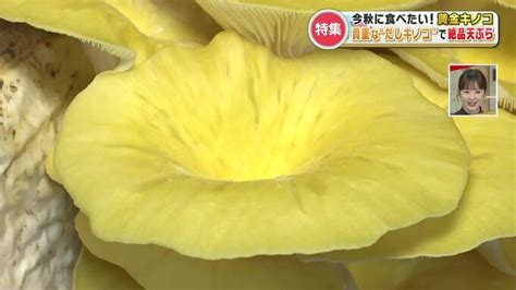 食欲の秋到来！週末行きたい「フルーツ狩り」に香り広がる「黄金キノコ」 今秋の旬のグルメあれこれ Tbs News Dig 2ページ