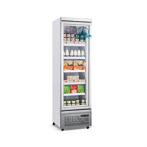 Ruibei 400L Supermarket Upright Ice Cream Popsicle Freezer