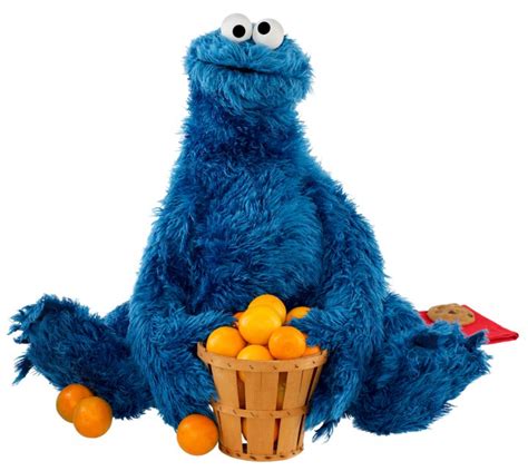 Sesame Street Sesame Street Photo 35144640 Fanpop