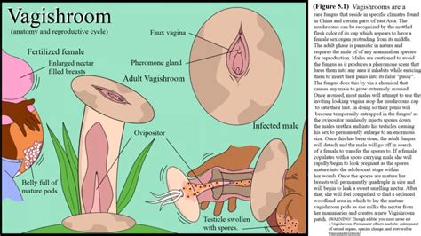 Rule 34 Breasts Daniwolf Artist Fungus Impregnation Infestation Inflation Lactation Large