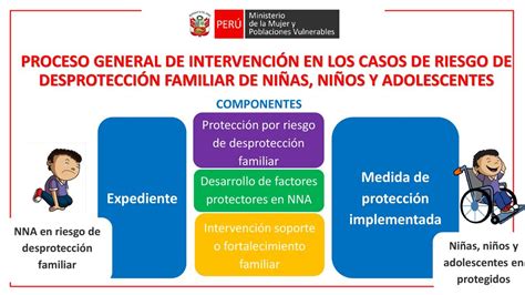 El Rol De La Demuna En El Marco Del D L Ppt Descargar