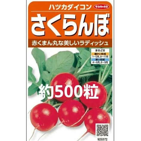 未開封＜野菜種＞約500粒 ハツカダイコン さくらんぼ 二十日大根 ラディッシュの通販 By びびびs Shop｜ラクマ