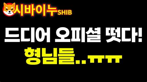 시바이누 Shib 대박입니다 Youtube