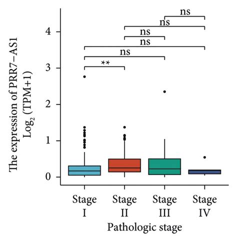 The Association Between The Prr7 As1 Expression And Clinical Factors