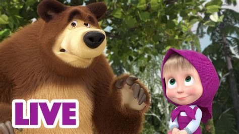 🔴 Live Stream 👧🐻 마샤와 곰 😲💥 참담하게 깨져버린 우정 💥😯 Masha And The Bear Youtube