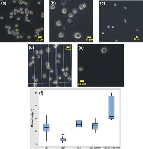 Optical Micrographs Of Brain Cancer Cells A U251 B U87 C D54