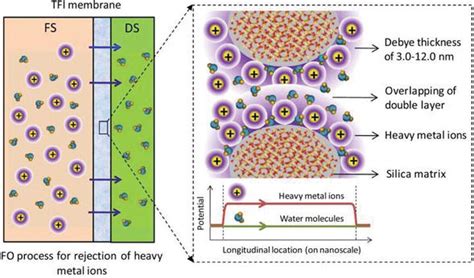 Forward Osmosis Membranes – A Review: Part I | IntechOpen