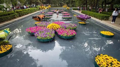 El Festival De Las Flores Y Jardines Llega A Polanco Redcapitalmx