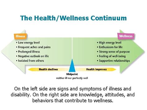 Health Wellness Objectives Provide A General Definition Of