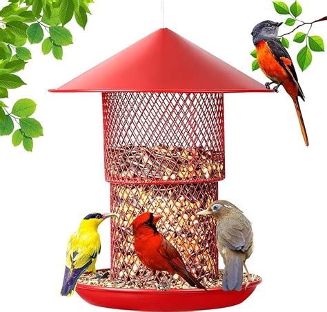 Bird Feeders For Outside Squirrel Proof Cardinal Bird Feeder Metal