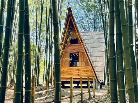 全球生态竹景观 竹屋 竹建筑案例鉴赏（设计建造）境道竹构 境道竹构