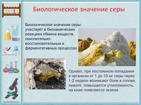Сера - презентация онлайн