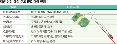 Lg엔솔·현대eng 내년 역대급 Ipo 시장 열린다 파이낸셜뉴스