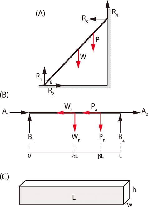 Reaction Forces On A Beam The Best Picture Of Beam