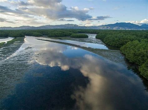 Caroni Swamp Trinidad Wow That View Tho I Love It So Much Trinidad