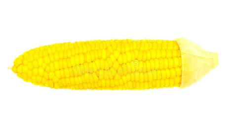 Sweet Corn Stock Photo Image Of Closeup White Bright 58122790