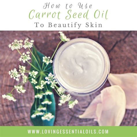 How To Use Carrot Seed Oil For Face And Skin Carrot Seed Oil Carrot