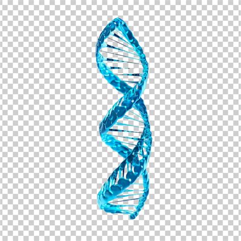 Premium Psd D Blue Dna Helix Sequence Element Isolated On A