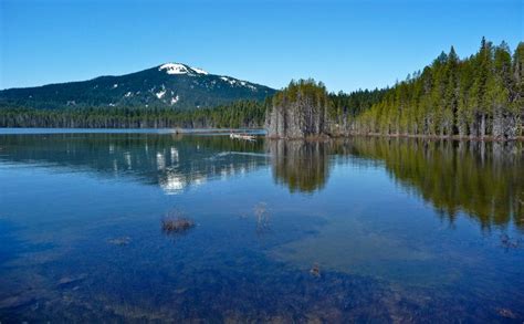 The Dreamy Lake Cabin Resort In The Woods Of Oregon