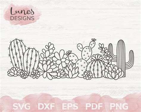 Cactus Svg Boho Clipart Succulent Svg Files For Cricut Succulent