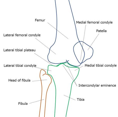 Knee Joint Oblique View Internal External Rotate Tools For Radtech