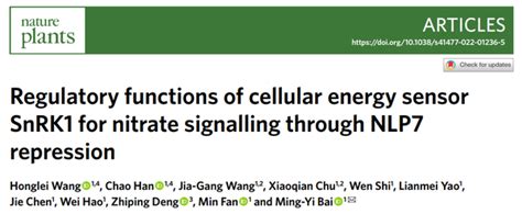 Nature Plants 山东大学白明义课题组揭示植物能量感受器snrk1抑制硝态氮信号转导的重要机制 知乎