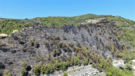 Laigueglia Nel Rogo Sono Andati In Fumo Sette Ettari Di Bosco La Stampa