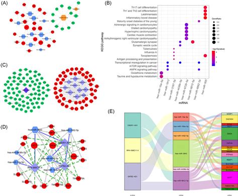 Cerna Analysis Mirna Target Gene Interaction Network A Red Circles