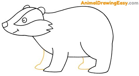 How to Draw a Badger - Animaldrawingeasy.com