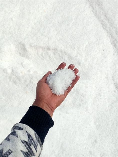 Rock Salt Deicing For Sale Wholesale Bulk Price From Egypt Supplier