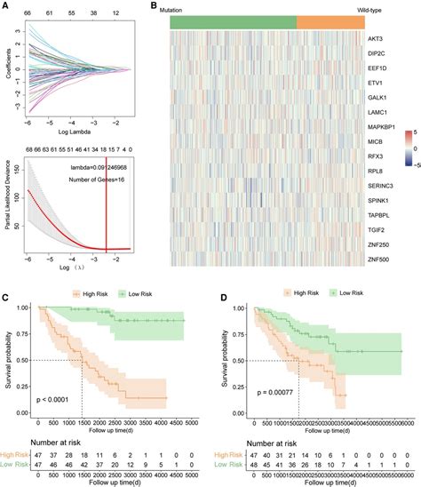 Frontiers A Novel Strategy For Precise Prognosis Management And