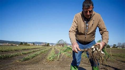 Ofertas de empleo para trabajar en el sector agropecuario en Andalucía