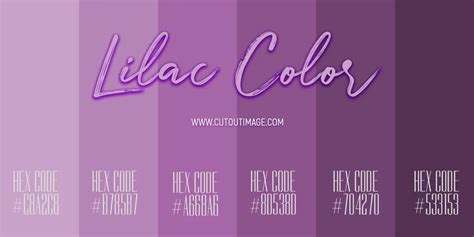 The Lilac Color A Trendy And Versatile Choice For Fashion